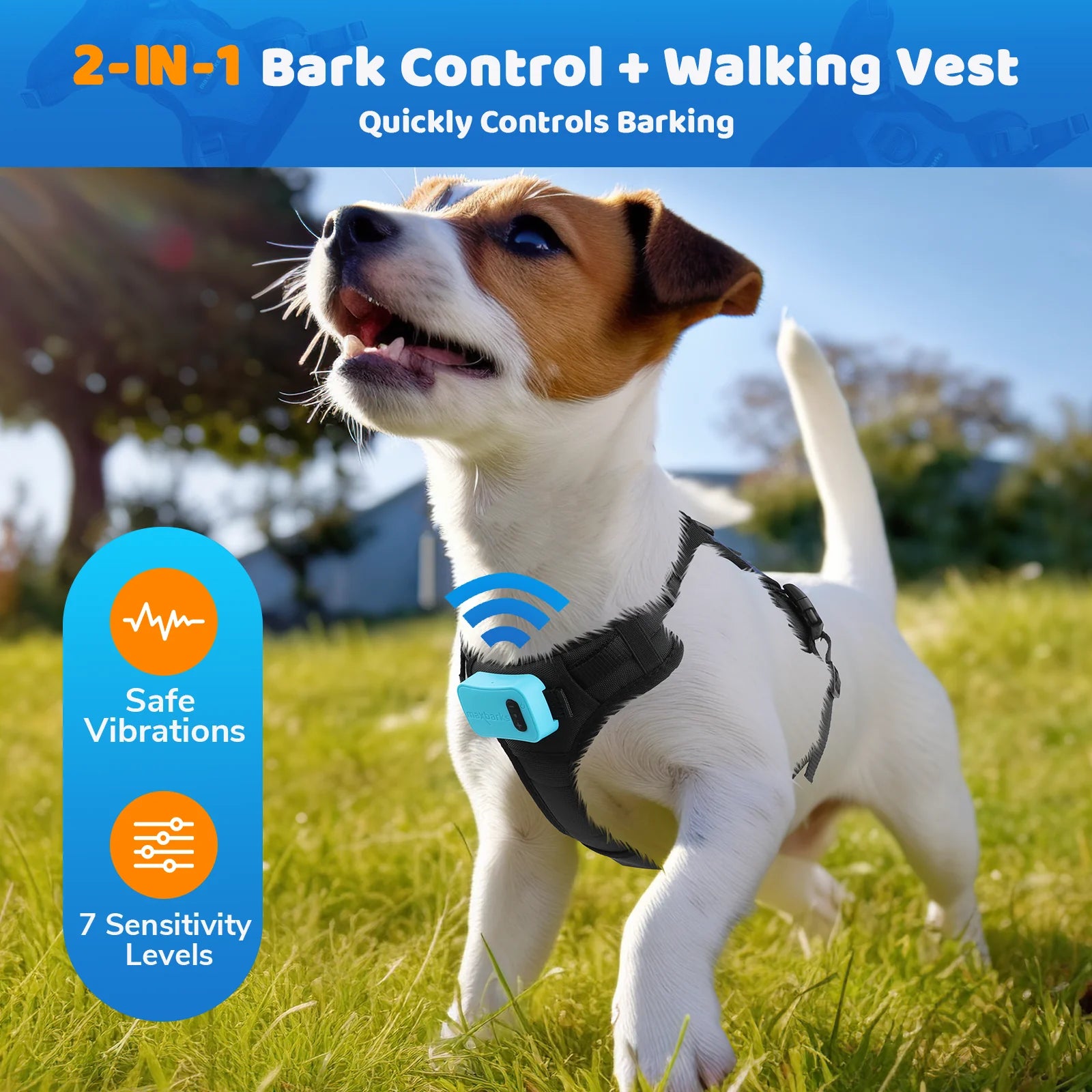 The Best Dog Vest on the Market