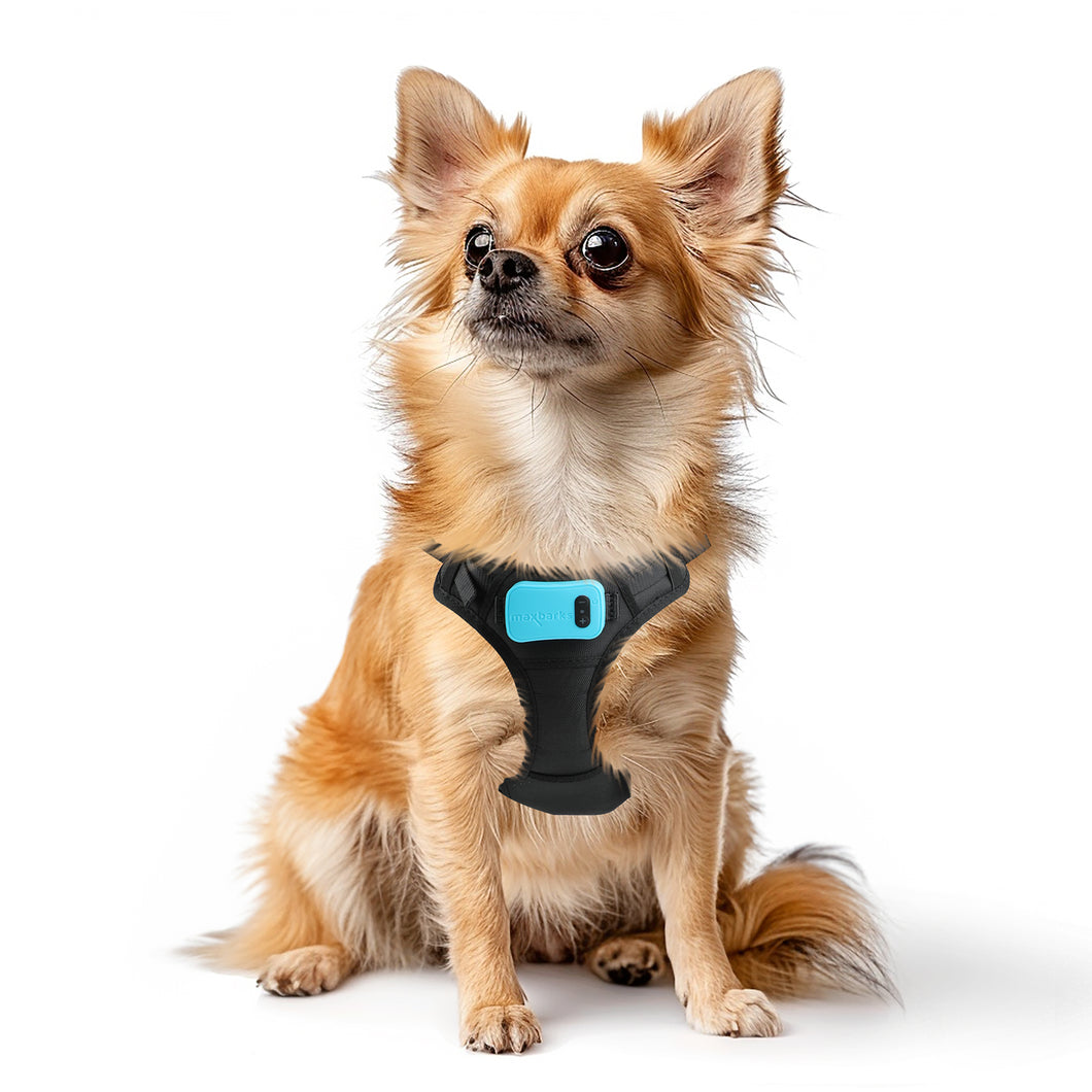 Bark Control Vest for Small Dogs