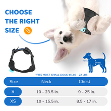 Load image into Gallery viewer, Bark Control Vest for Small Dogs

